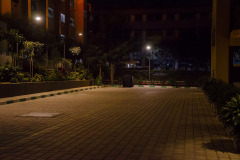 DSC_9237